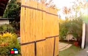 �C�mo hacer un biombo natural para separar el jard�n del estacionamiento?