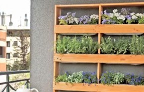 �C�mo hacer un muro verde en el jard�n?