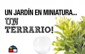 �C�mo hacer un terrario?