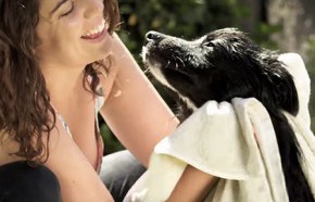 �C�mo hacer una ducha 360� para tu perro?