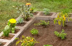 �C�mo hacer una huerta con bloques de concreto en el jard�n?