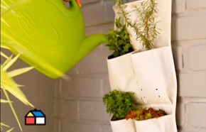 �C�mo hacer una huerta en zapatero?