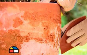 �C�mo limpiar maceteros con cal y sacos arom�ticos?