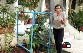 �C�mo proteger las plantas de las heladas?