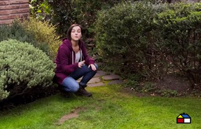 �C�mo recuperar el c�sped da�ado?