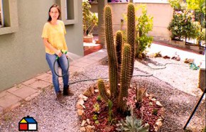 �C�mo recuperar un jard�n con rocallas?