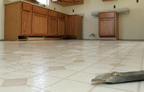 �C�mo sacar palmetas de fl�xit?