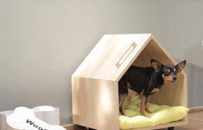 Construye un peque�o hogar para tu perro