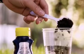 �C�mo acidificar el suelo?