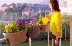 �C�mo ambientar el balc�n con macetas?