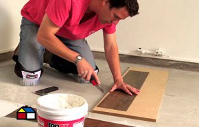 �C�mo cambiar Palmeta vin�lica?