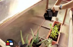 �C�mo construir un invernadero?