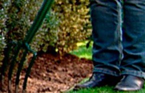 �C�mo cuidar jard�n en Junio?