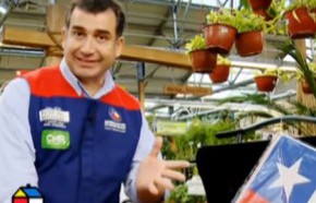 �C�mo elegir una parrilla?