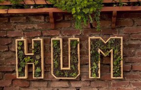 �C�mo hacer macetas verticales para el jard�n con forma de letras?