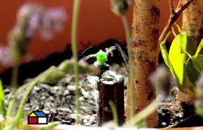 �C�mo hacer riego autom�tico para maceteros?