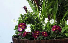 �C�mo hacer un arreglo floral en macetero?