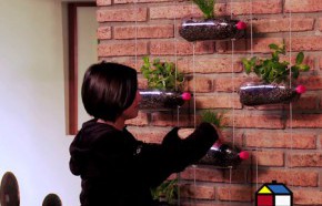 �C�mo hacer un jard�n colgante reciclando botellas?