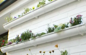 �C�mo hacer un jard�n vertical?