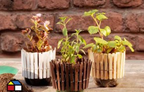 �C�mo hacer un macetero con perros de ropa?