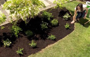 �C�mo hacer un macizo?