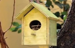 �C�mo hacer una casa de p�jaro?