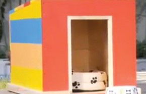 �C�mo hacer una casa de perro?