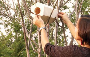 �C�mo hacer una pajarera hexagonal?