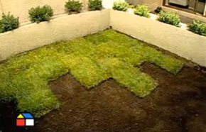 �C�mo instalar palmetas de pasto?