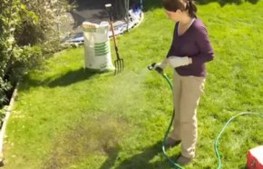 �C�mo mantener el pasto y los setos m�s verdes?