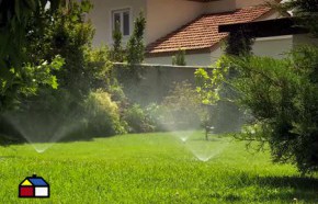 �Por qu� aumentar la frecuencia de riego?