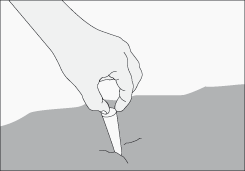 S�lidos o l�quidos 