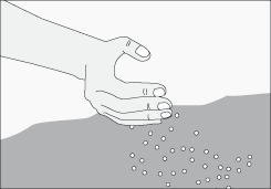 S�lidos o l�quidos 