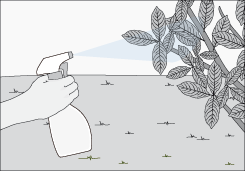 S�lidos o l�quidos 