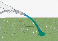 Cu�nto y cu�ndo aplicarlos