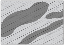 C�mo elegir el protector correcto