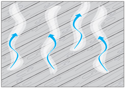 C�mo elegir el protector correcto