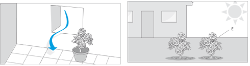 Selecci�n de ambiente