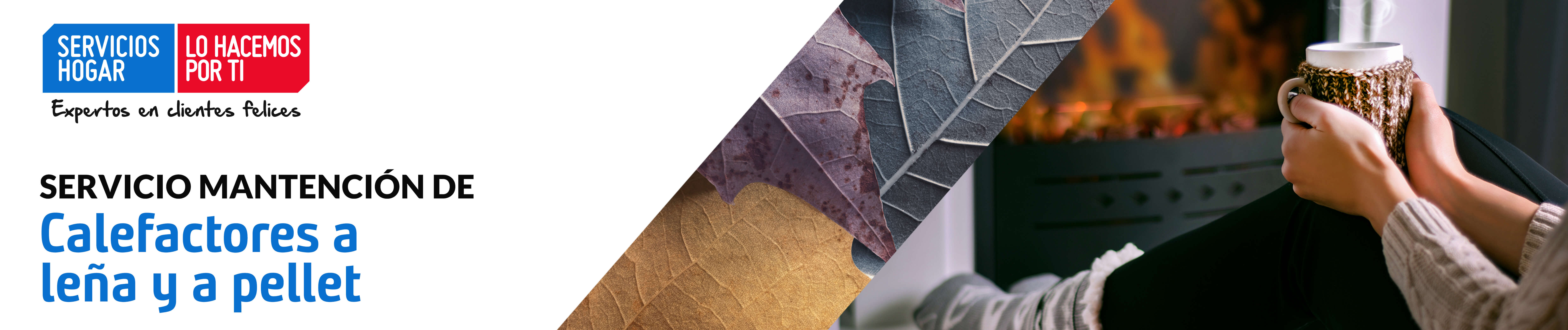 mantencion-calefactores-lena-pellet