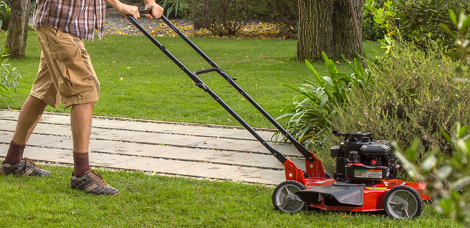 Herramientas de jard�n