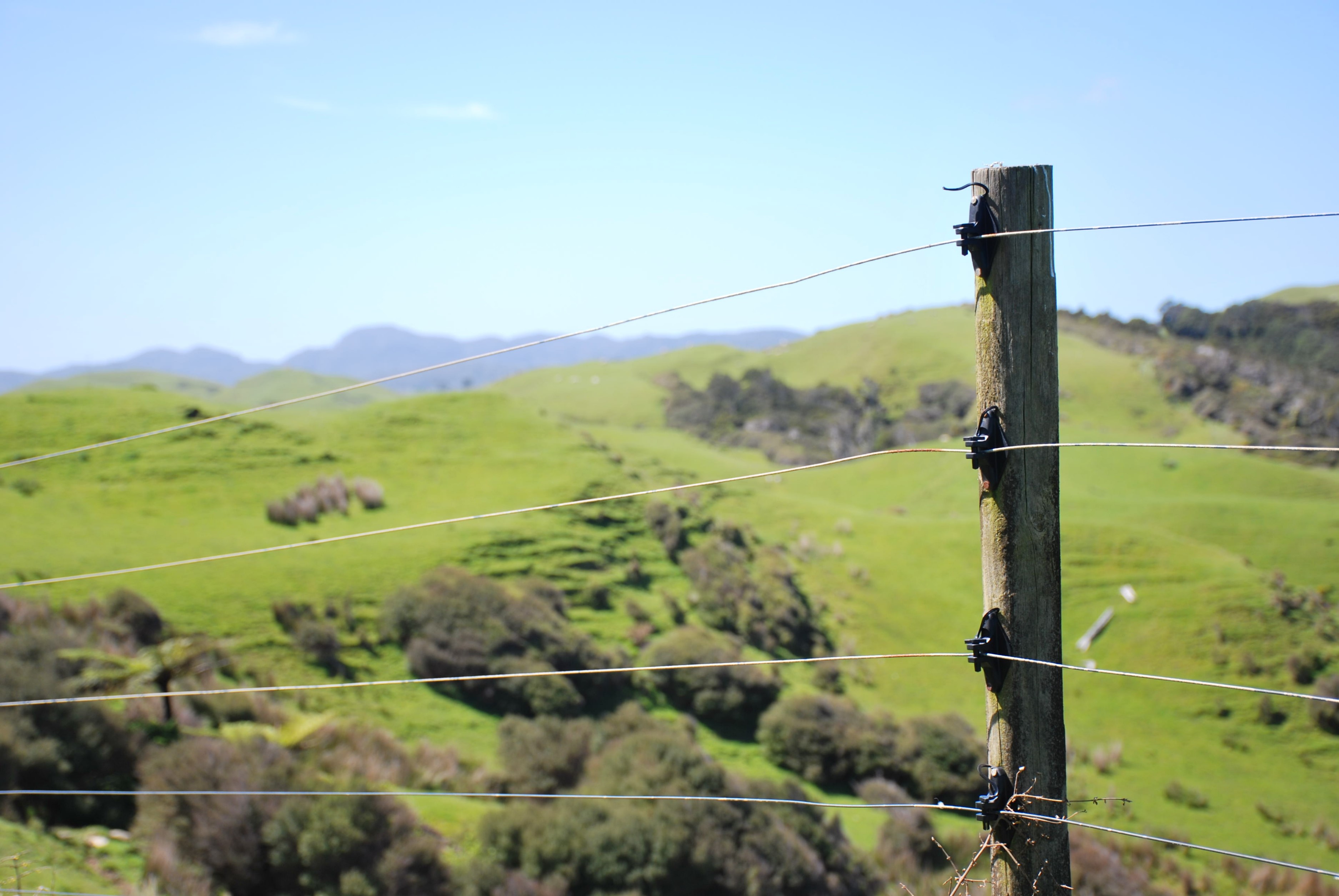 Servicio  Construcci�n de P�rgolas, Quinchos y Cobertizos