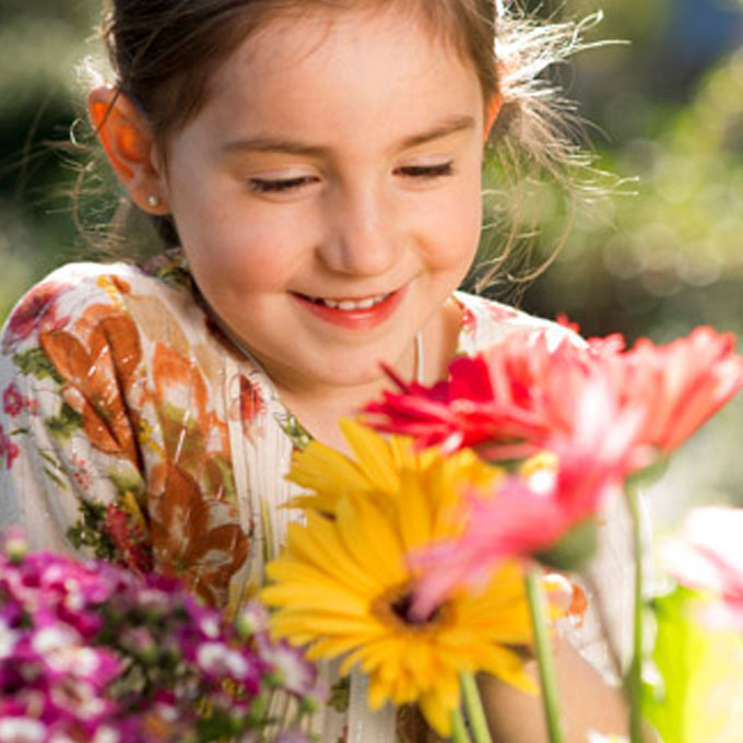 Guía Cuida tu jardín en primavera / verano