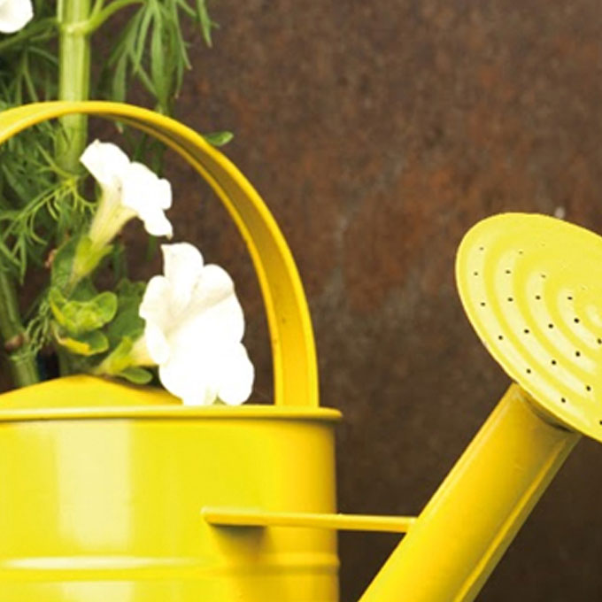 Guía Pintura en spray