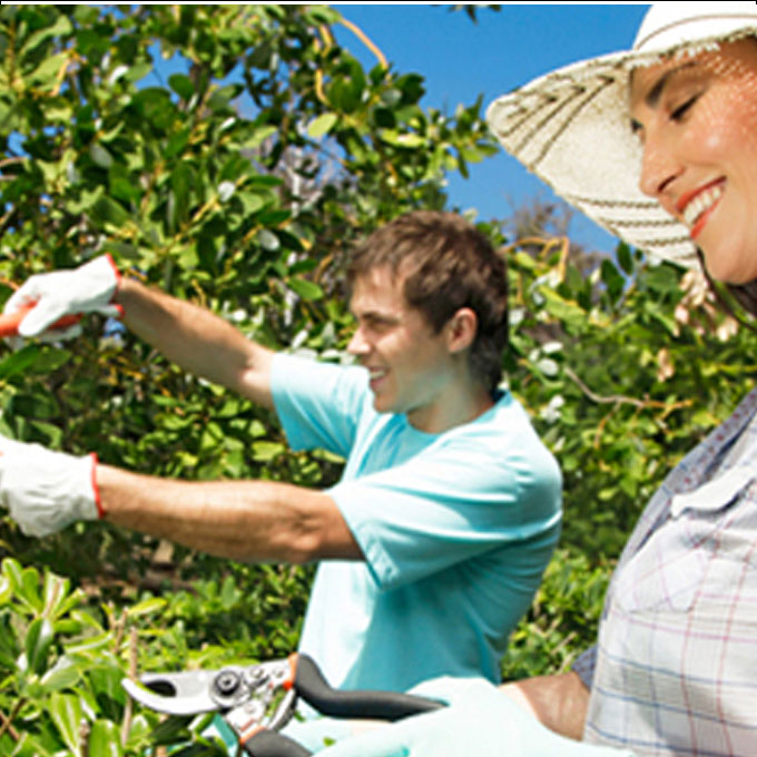 Exterior: Asesorías, Consejos y Datos.