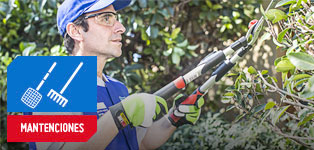 Servicio Mantención de Jardines