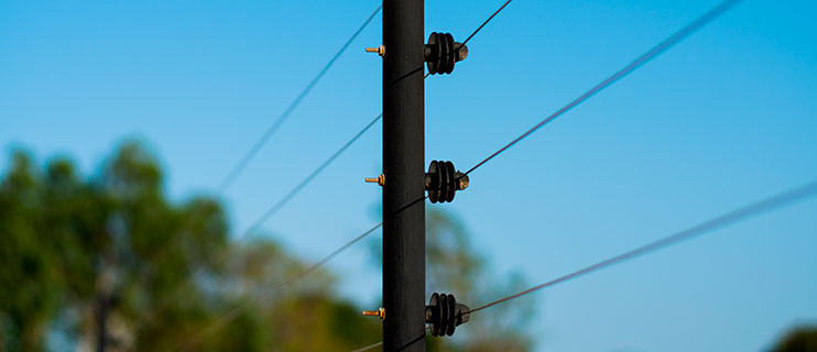 Servicio Cerco El�ctrico