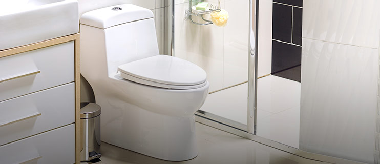 Servicio Instalaci�n de Sanitarios