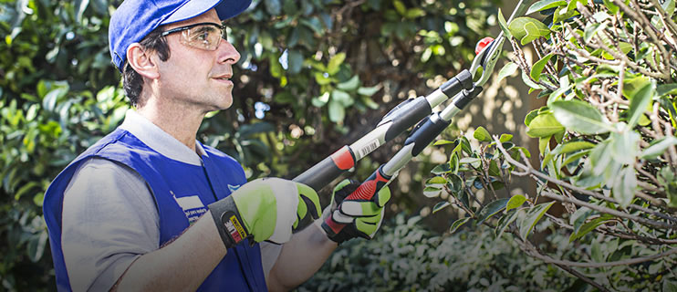 Servicio Mantenci�n de Jardines