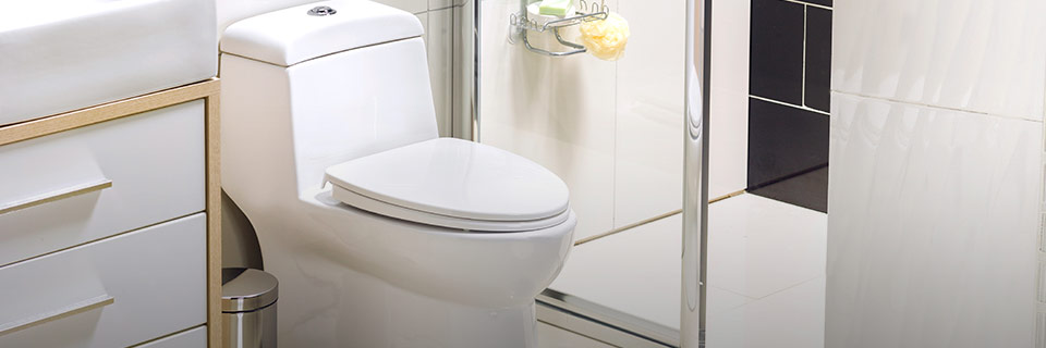 Servicio Instalaci�n de Sanitarios