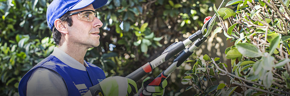 Servicio Mantenci�n de Jardines